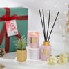 Buy Festive Charm Secret Santa Aroma Set