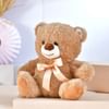 Shop Festive Comfort And Gourmet Treats Diwali Hamper