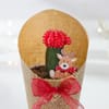 Buy Festive Moon Cactus Christmas Gift
