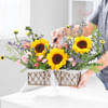 Gift Fields of Sunshine