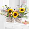 Buy Fields of Sunshine
