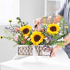 Buy Fields of Sunshine