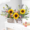 Fields of Sunshine Online
