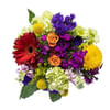 Fixed Flower Bouge Online