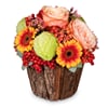 Fleurop Flower arrangement 'Happy Surprise'