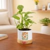 Floral Charm Money Plant