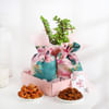 Floral Delight Hamper for Mother Online