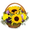Flower arrangement 'Power of Summer'
