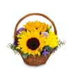 Flower arrangement 'Power of Summer'