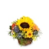 Flower arrangement 'Sunny Kiss'