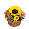 Flower arrangement 'Sunny Kiss'
