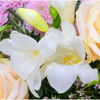 Gift Flower Bouquet Spring Greeting