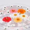 Flower Floating Candlles IGP 1 pc