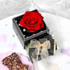 Buy Forever Rose & Almond Pralines