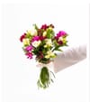 Freesia Bouquet Online