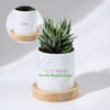 Fresh Beginnings - Haworthia Succulent With Personalized Pot Online