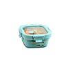 Fresh Grip Tiffin 320 ml