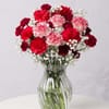 Frostberry Christmas Carnations Bouquet Online