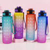 Frosted Plastic Bottle - 1L - Assorted - Single Piece Online