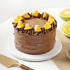 Fruitful Fantasy Chocolate Cake Online