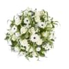 Funeral: Farewell; Funeral Biedermeier Online