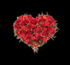 Funeral Heart Red  with Ribbon 248042 Online
