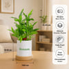Shop Ganesh Chaturthi Personalized Bamboo Planter and Frame Combo