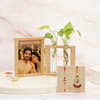 Ganesha Bhaiya Bhabhi Rakhi with Money Plant