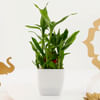 Buy Ganesha Blessings Gourmet Basket