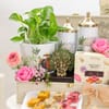 Buy Ganpati Blessings Luxury Hamper