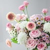 Buy Garden for Boss