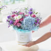 Buy Garden of Delight