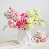 Garden of Grace Online