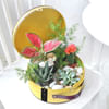 Buy Garden of Luxury