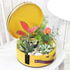 Garden of Luxury Online