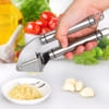 Buy Garlic Press - Stainless Steel - Single Piece