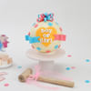 Gender Reveal Pinata Cake (1 Kg) Online