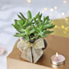 Buy Gift of Gratitude for Brother