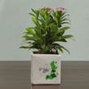 Shop Go Green Personalized Planter Pot Set