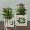 Go Green Personalized Planter Pot Set Online
