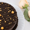 Shop Golden Accent Chocolate Christmas Cake