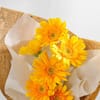 Buy Golden Glow Flowers For Friendship Day