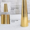 Buy Golden Metal Flower Vases - Set of 2