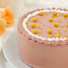 Shop Golden Pearl Chocolate Delight Cake