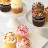 Gift Gourmet Cupcake Favorites