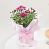 Gift Graceful Chrysanthemum And Pink Wrap Planter