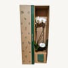 Gift Grandiflora Orchid