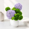 Green Harmony Floral Arrangement Online