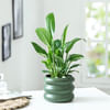 Green Virtue Online