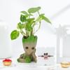 Groot Love Rakhi Gift Combo Online